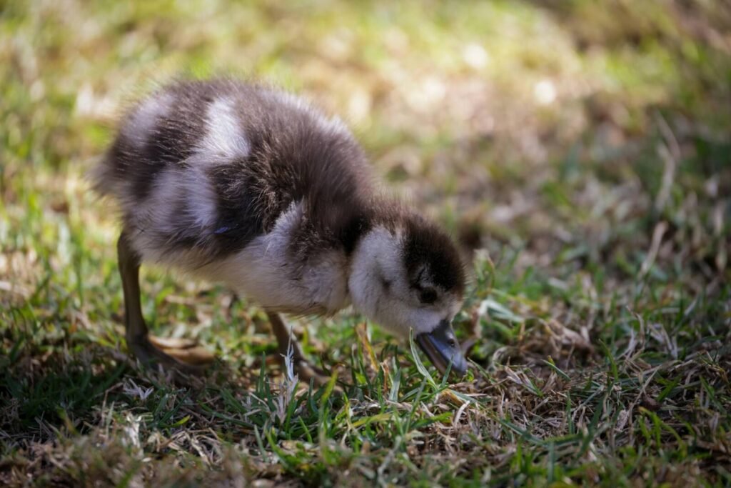 Imagem ilustrativa coerente com o tema